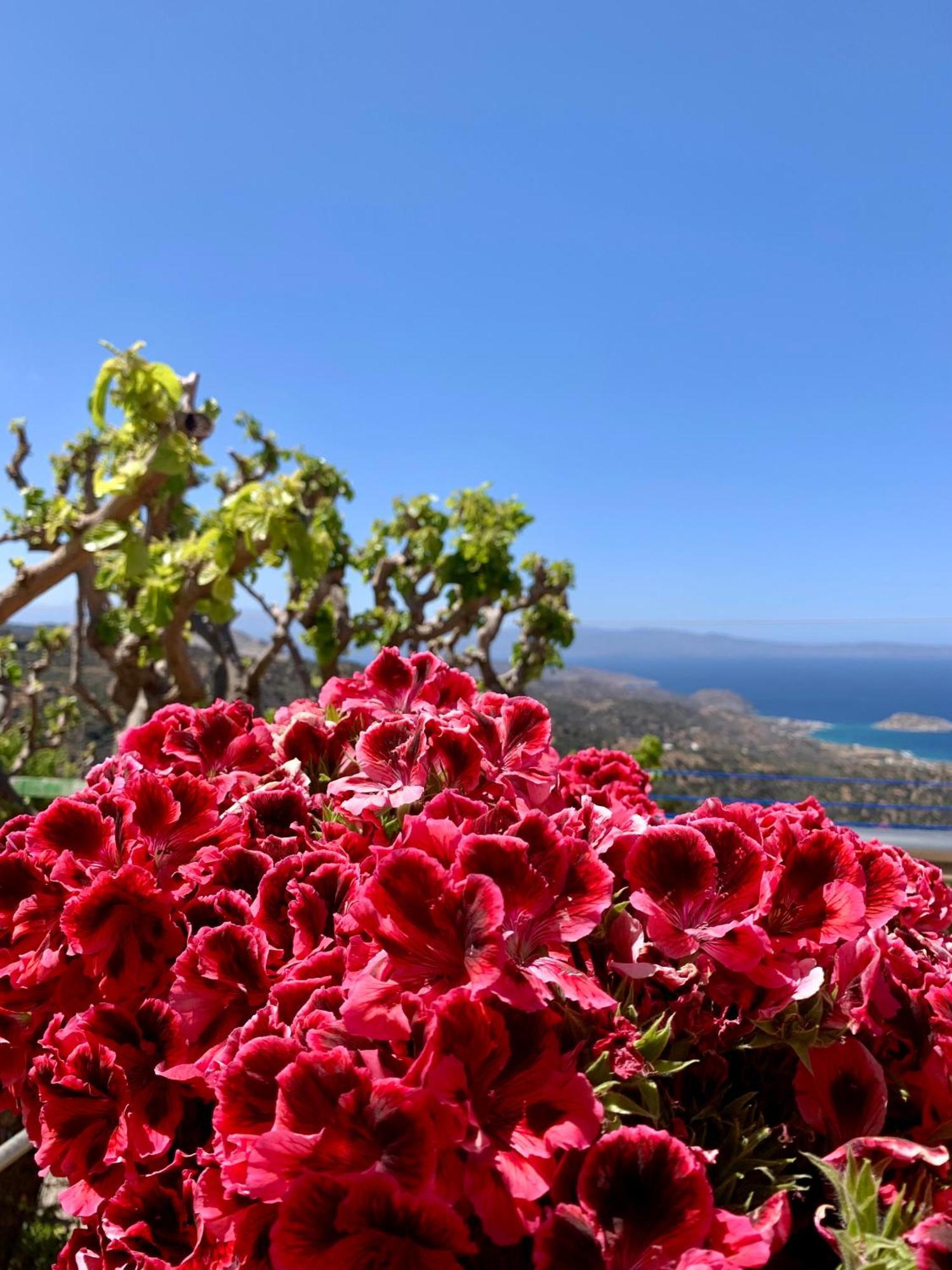 Morea Bay View Tourlotí Εξωτερικό φωτογραφία