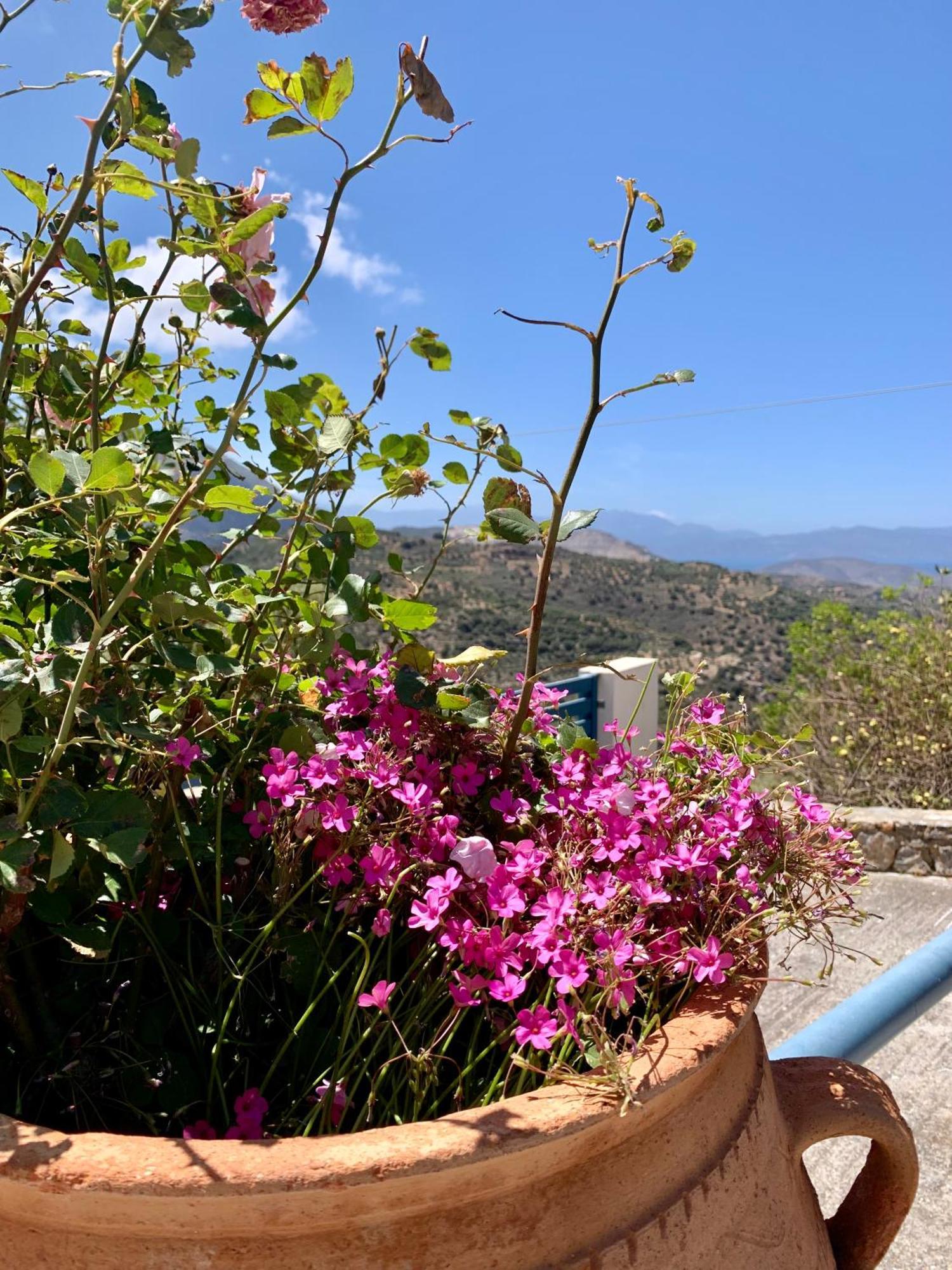 Morea Bay View Tourlotí Εξωτερικό φωτογραφία